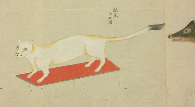 桂川国瑞的动物写生图