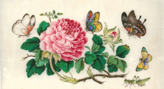 19世纪广州的通草纸画
